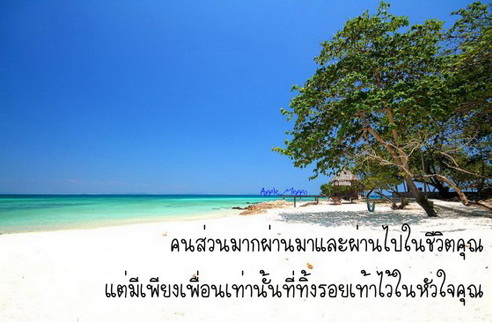 ..เพื่อนที่ดีเหมือนดวงดาว...