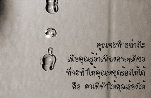 ..เพื่อนที่ดีเหมือนดวงดาว...