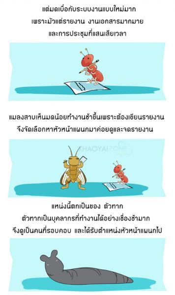 ความจริงในสังคม 