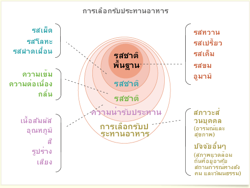 อยากรู้มั้ย?รส อูมามิ คือ อะไร