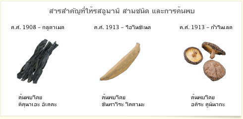 อยากรู้มั้ย?รส อูมามิ คือ อะไร