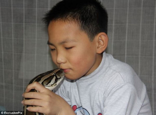 ขนลุก เด็กจีนนอนหลับกับงูเหลือม พ่อชอบใจปล่อยให้เป็นเพื่อนเล่น