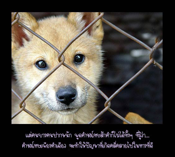 จากคนบางคน...ถึงคนบางคน 