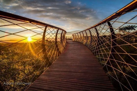 สะพานชมธรรมชาติที่ สวยที่สุด ในแอฟริกาใต้!!