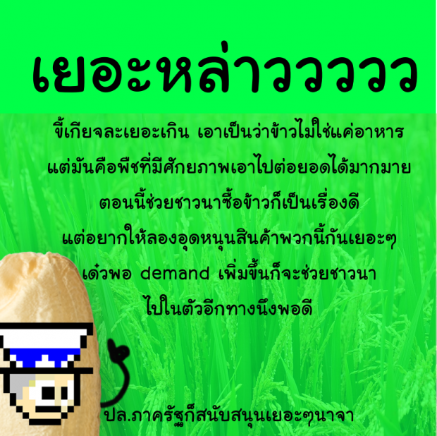 ข้าว ที่เป็นได้มากกว่าข้าว จะเป็นอะไรได้บ้าง ไปดู..