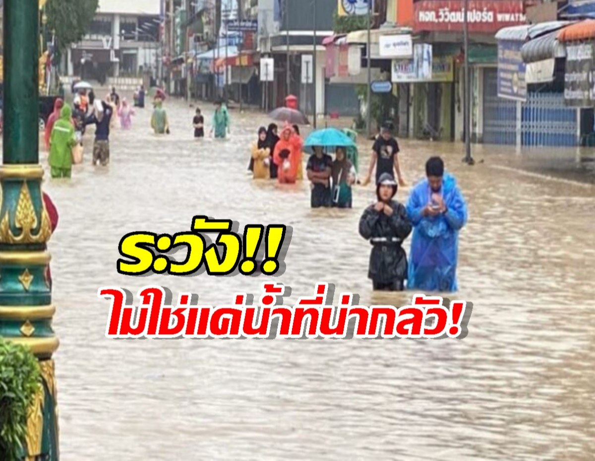 ไม่ใช่แค่น้ำที่น่ากลัว! เช็กด่วน 3 สิ่งอันตรายที่แฝงมากับน้ำท่วม