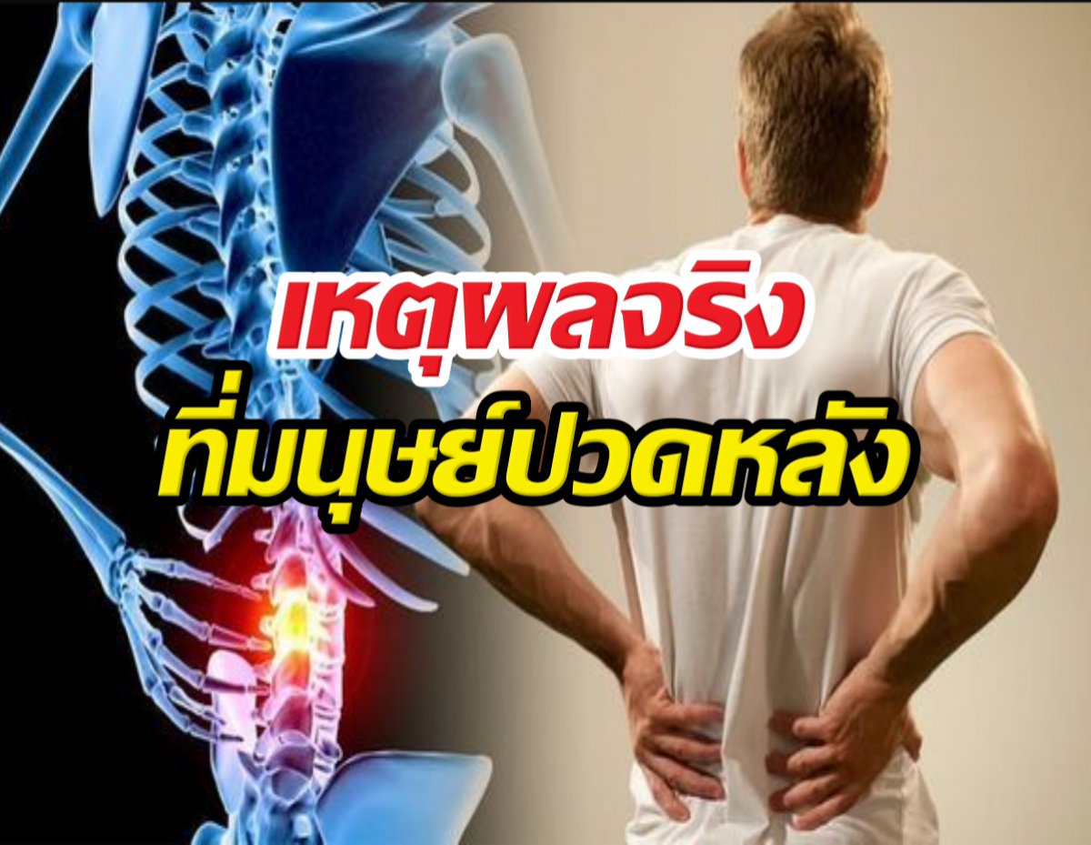ความลับสายดาร์ก! ทำไมมนุษย์ปวดหลัง เราโดนธรรมชาติทรยศ!