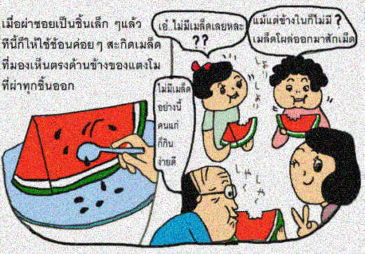 เคล็ดลับ: การผ่าแตงโมให้เหลือเมล็ดน้อยที่สุด!