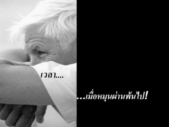 เรื่องของ...คุ้กกี้...