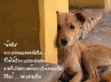 พจนานุกรมของใจ..น่ารักดีนะ