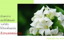 ใจ และ ความสุข