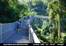 ไปเที่ยวกัน!ทางเดินลอยฟ้า “Canopy walkway” เชียงใหม่นี่เอง