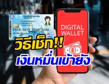 กลุ่มเปราะต้องรู้! วิธีเช็กเงินดิจิทัลวอลเล็ต 10,000บาท โอนเข้ายัง?