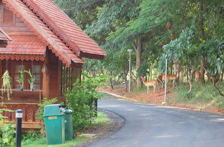 ท่องเที่ยวหน้าหนาวที่  อุทยานแห่งชาติเขาใหญ่ 