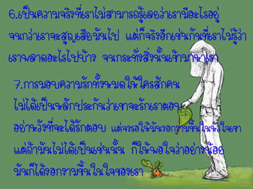 คติเตือนใจ....แด่ผู้ใฝ่หารักแท้ 