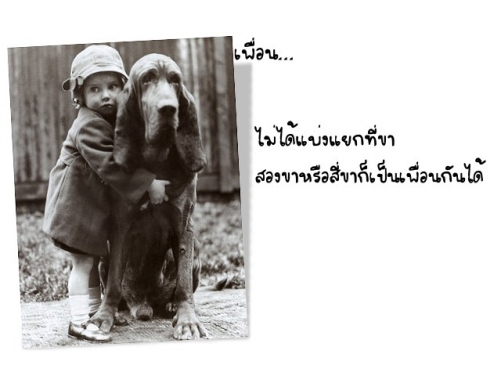 คำว่า...เพื่อน