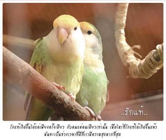 คุณมี..โอกาส.. ให้เขาแค่ไหน??