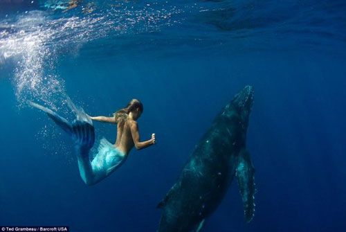 ฮือฮา!! นางแบบเปลือยอก สวมชุดนางเงือกว่ายน้ำกับวาฬ 