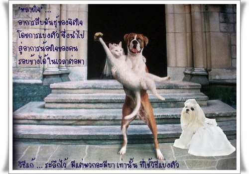 พจนานุกรมของ ใจ‏