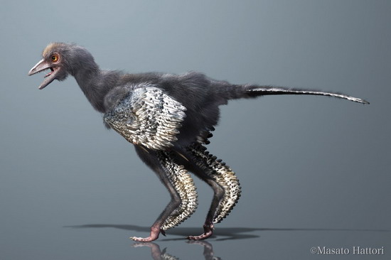 พบฟอสซิลนกรุ่งอรุณอายุ 160 ล้านปี สัตว์ต้นสายวิวัฒนาการนก