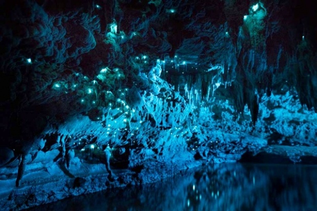 Waitomo Glowworm Caves ถ้ำหนอนเรืองแสง สุดมหัศจรรย์ กว่า 30 ล้านปี 