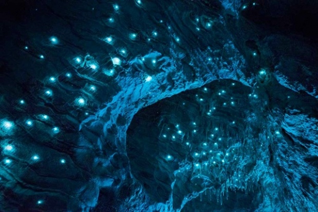 Waitomo Glowworm Caves ถ้ำหนอนเรืองแสง สุดมหัศจรรย์ กว่า 30 ล้านปี 