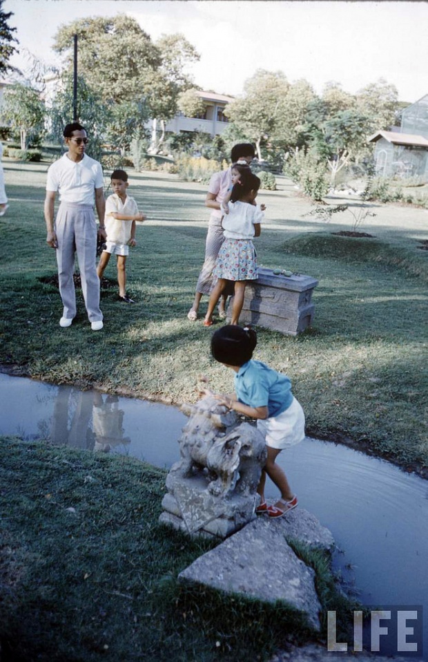 รวมพระอิริยาบถพร้อมหน้าพร้อมตาในพระราชวัง ร.9 พระราชินีและพระบรมวงศานุวงศ์