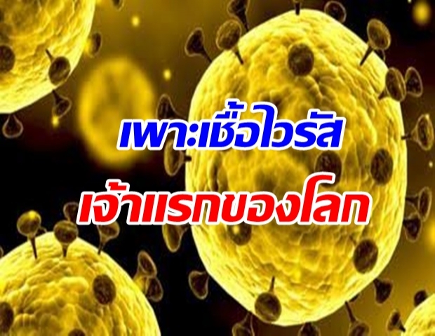 ออสเตรเลียเพาะไวรัสสายพันธุ์ใหม่ได้เจ้าแรกนอกประเทศจีน