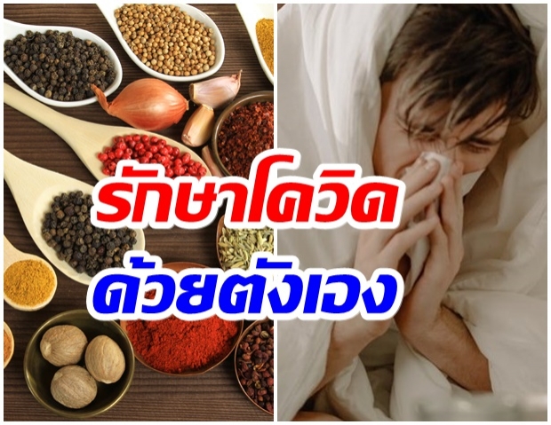 แพทย์แผนไทยฯ แนะวิธีกินสมุนไพรต่างๆ ช่วงรักษาโควิด-19 แบบ Home Isolation