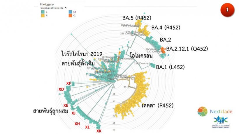 ทั่วโลกผวาโอมิครอนสายพันธุ์ย่อย แรงเท่าเดลตา-ทำปอดบวมดับ!