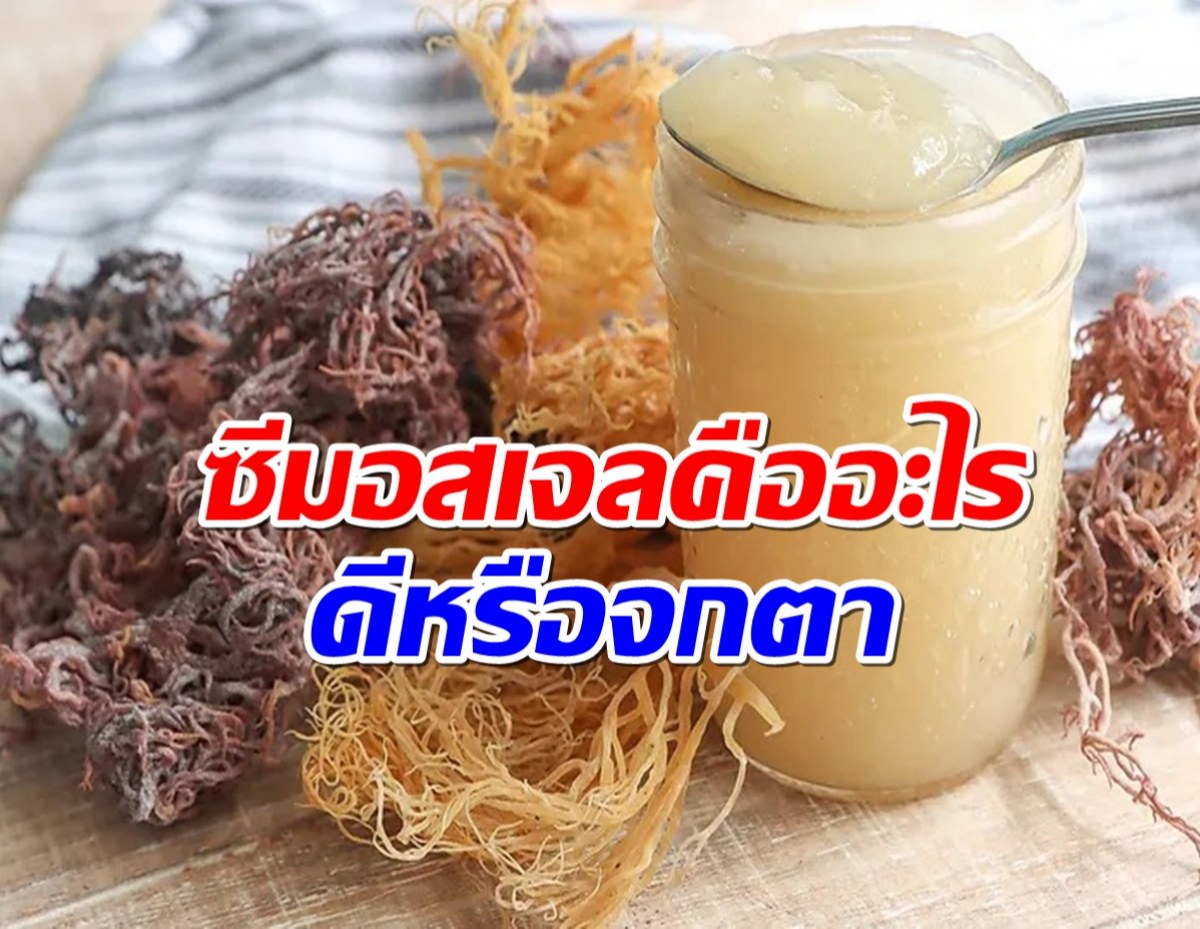 รู้ก่อนกิน! ซีมอสเจล สุดฮิตของเหล่าเซเลป ดีจริงหรือจกตา