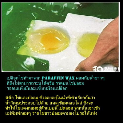 ภัยที่ใกล้ตัว กับ ไข่ปลอม