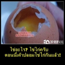 ภัยที่ใกล้ตัว กับ ไข่ปลอม