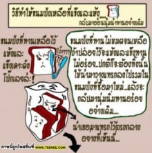 เคล็ดลับ ทำขนมปังเก่าให้กลับมาใหม่อีกครั้ง