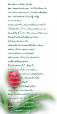 อีกมุมหนึ่งของคำว่าเพื่อน