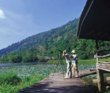 (ท่องเที่ยว)ตามหา ‘หมาน้ำ’ ในบึงทะเลบัน