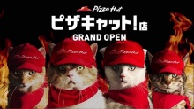 พิซซ่าร้อนๆมาส่งแล้ว เมี๊ยว!! Pizza Hut Japan ผุดไอเดียเก๋ อัญเชิญท่านแมวมาเป็นพรีเซ็นเตอร์