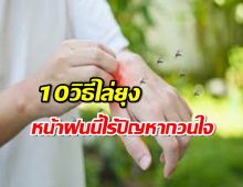 10 วิธีง่ายๆ ไล่ยุงตัวร้ายออกจากรอบๆบ้านคุณ