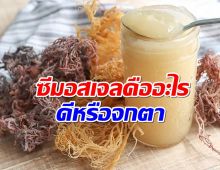 รู้ก่อนกิน! ซีมอสเจล สุดฮิตของเหล่าเซเลป ดีจริงหรือจกตา