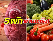 หากินง่าย เปิด 5 ผักต้านมะเร็ง เสริมภูมิ-สู้เซลล์ร้าย