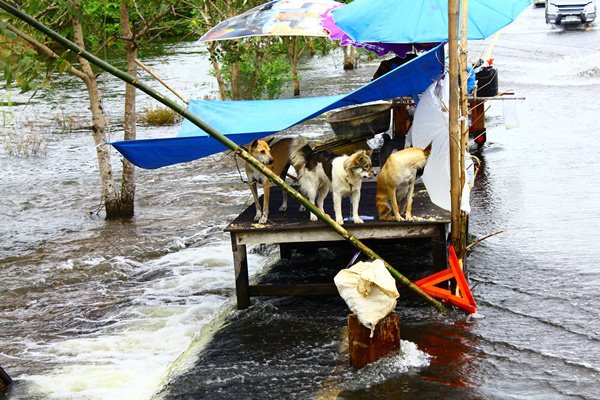 ประมวลภาพสถานการณ์ล่าสุด จาก จ.ลพบุรี(1)