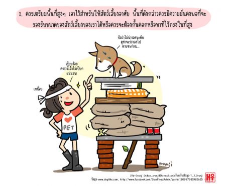 7 หน้า/หลัง น้ำมา! เตรียมรับมือพร้อมอุ้มน้องหมาหนีน้ำกันเถอะ