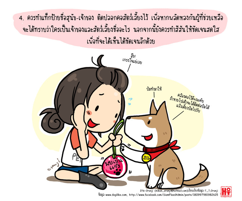 7 หน้า/หลัง น้ำมา! เตรียมรับมือพร้อมอุ้มน้องหมาหนีน้ำกันเถอะ