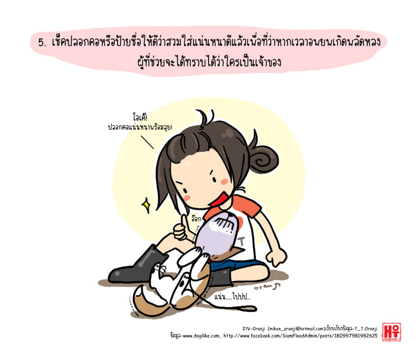 7 หน้า/หลัง น้ำมา! เตรียมรับมือพร้อมอุ้มน้องหมาหนีน้ำกันเถอะ