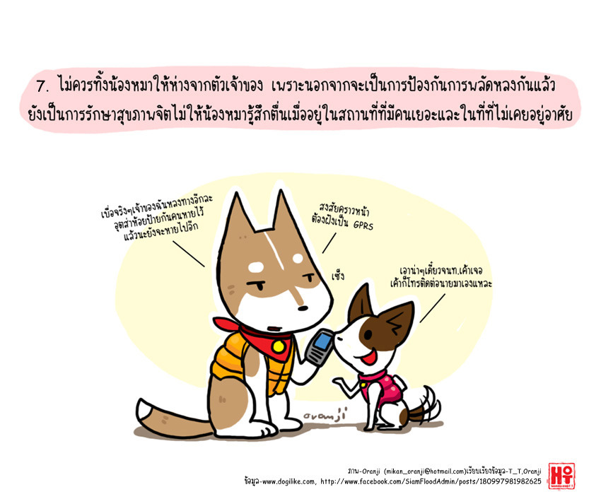 7 หน้า/หลัง น้ำมา! เตรียมรับมือพร้อมอุ้มน้องหมาหนีน้ำกันเถอะ