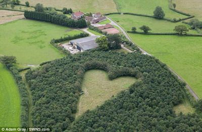 สุดซาบซึ้ง ชายอังกฤษ ปลูกป่ารูปหัวใจอุทิศให้ภรรยาผู้ล่วงลับ