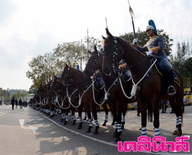 ประมวลภาพวันแห่งความปลื้มปีติของพสกนิกรชาวไทย 2