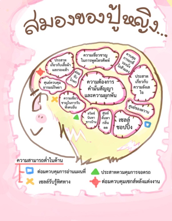 ไขข้อสงสัย ทำไมหญิง-ชาย จึงคิดต่างกัน