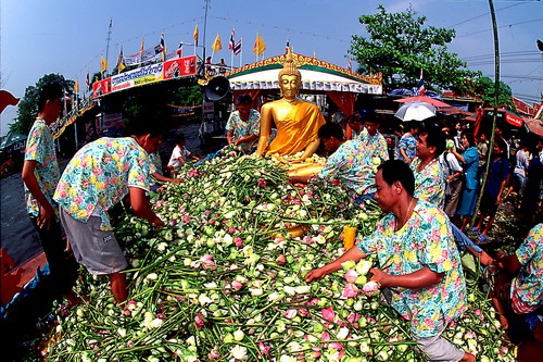 ประเพณีรับบัว อ.บางพลี จ.สมุทรปราการ 