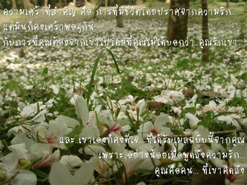 บนเส้นทาง...ของความรัก